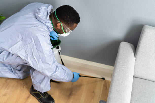 Best Indoor Pest Control  in Dover Base Housing, DE